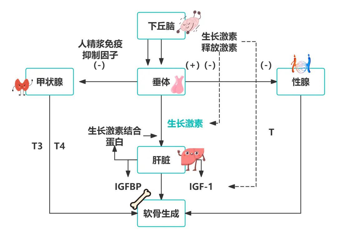 640.webp (1).png