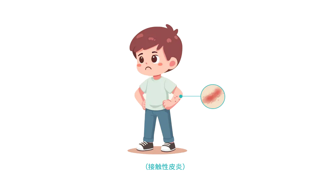 640.webp (1).png